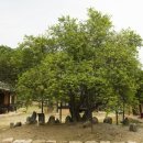 탱자한의원 이미지