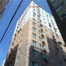 다우림 2차 이미지