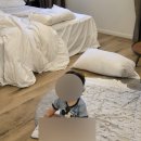 알파시티1로 4길 | 이스턴호텔 라이온즈파크점&#39; 가족 호캉스 여행 숙소 추천 /삼팬 가족여행/ 돌아기랑 슈페리어 리얼후기