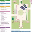 송원중학교 | 만석공원 새빛축제 주차 꿀팁 벚꽃 만개 수원 벚꽃 명소 후기