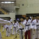 박사태권스쿨체육관 Daum카페