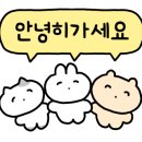 미드나잇 롤러코스터 클럽 이미지