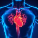 머스트무브짐 PT&Pilates 잠실새내 4호점 이미지