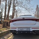 명동카정비 이미지