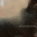서울헤어 티스토리
