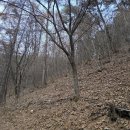 두개비산산림욕장 네이버블로그