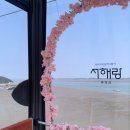 (주)연제케이블넷 | 제부도 당일치기 코스 추천 서해랑 케이블카 순환버스