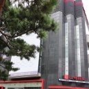 다금주얼리 | 까르띠에 금통시계 고이비토 강남점에서 선택~~!