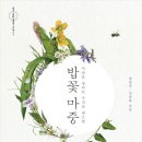 채소꽃
