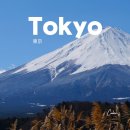 비소(보람)-호-9 | 도쿄 후지산 일일투어 후기, 버스투어 코스·날씨·좌석 팁 정리