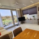 스테이 도채비꽃 이미지