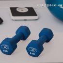 바디트리연구소