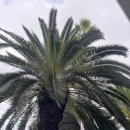 이만석군횟집 이미지