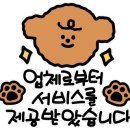 양쉐프양구이 이미지