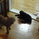 삼형제푸드 이미지