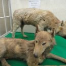 유신목장 이미지