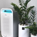 최우선카클리닉 | 스타일 변신, 이제 이곳에서 완벽하게 끝내봐요! feat. 잠실새내역미용실