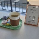 물총새공원 | 천안 불당 미용실 빈에 물들다 윤 물총새공원점 컷트 펌 후기