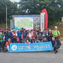 정금순 이미지