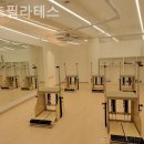 피츠필라테스 | 신정동 필라테스 피츠필라테스 필라테스 플레이스 리뷰 총정리