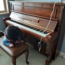 영창빌라 앞 이미지