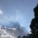 더파란 민박 이미지