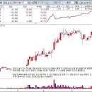 HB모터스 이미지