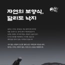 달락달리도낙지 이미지