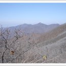 삼도목장 이미지