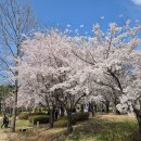 한강시민공원(화훼단지) 이미지