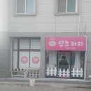 핑크애견 이미지