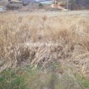 별량부동산공인중개사사무소 이미지