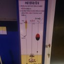 후킹실내바다낚시 네이버블로그