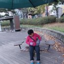 왕버들공원화장실 이미지