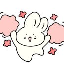 두부네 펫살롱 이미지