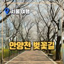 안양천 | 서울 숨은 벚꽃 스팟! 안양천 벚꽃길 리얼후기