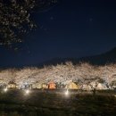 화왕산오토캠프장 이미지