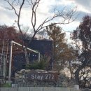 스테이 272 이미지