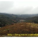 모단농장 이미지