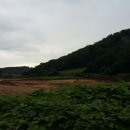 애기봉목장 이미지