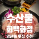 JMT PC | 양산동 횟집 수산물회백화점 ㅣ 대방어 솔직 후기
