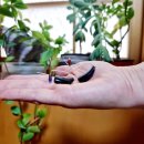 스타키보청기 청량리점 이미지