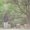궁리 이미지