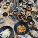 도도한돼지 티스토리