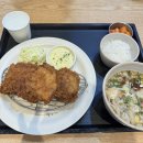 이네누헤어리더 | 천안 신방동 맛집 홍익돈까스 천안신방점 내돈내산 리얼후기