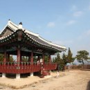 동래 Daum카페