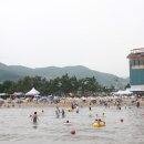 보성매점 - 보성군 녹색로 4816-15 | 보성매점