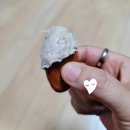 두리안 몬통 신선 냉장 제품 달콤하고 냄새덜한것 찾았다!