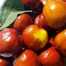 영광농장 이미지