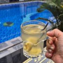 자연속으로 | 🇻🇳 닌빈 땀콕 숙소 추천｜Tam Coc Mountain Lake Homestay 자연 속 힐링 후기